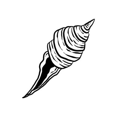 uncolored seashell illustration collection. animated nautical animal in vector graphic for creative design. aquatic object animation isolated on white background.