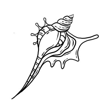 uncolored seashell illustration collection. animated nautical animal in vector graphic for creative design. aquatic object animation isolated on white background.