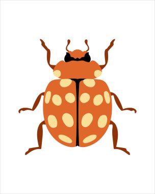 Kremalı uğur böceği. Böceklerin düz vektör çizimi. Böcekler ve bahçe konsepti renkli temalı animasyonlar. beyaz arkaplanda izole edilmiş doğanın karikatür çizimi.