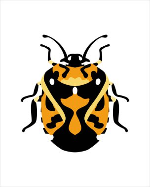 Palyaço böcekleri. Böceklerin düz vektör çizimi. Böcekler ve bahçe konsepti renkli temalı animasyonlar. beyaz arkaplanda izole edilmiş doğanın karikatür çizimi.