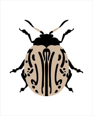 calligrapha multipunctata. flat vector illustration of bugs. insects and garden concept animated in colorful theme. cartoon illustration of nature isolated on white background.