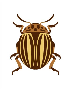 Colorado Patates Şekeri. Böceklerin düz vektör çizimi. Böcekler ve bahçe konsepti renkli temalı animasyonlar. beyaz arkaplanda izole edilmiş doğanın karikatür çizimi.