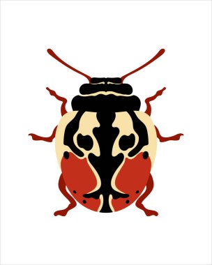 calligrapha chevrolat. flat vector illustration of bugs. insects and garden concept animated in colorful theme. cartoon illustration of nature isolated on white background.