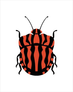 Gramozom italikum. Böceklerin düz vektör çizimi. Böcekler ve bahçe konsepti renkli temalı animasyonlar. beyaz arkaplanda izole edilmiş doğanın karikatür çizimi.