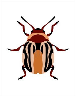 Elmacık kemiği büyüsü. Böceklerin düz vektör çizimi. Böcekler ve bahçe konsepti renkli temalı animasyonlar. beyaz arkaplanda izole edilmiş doğanın karikatür çizimi.