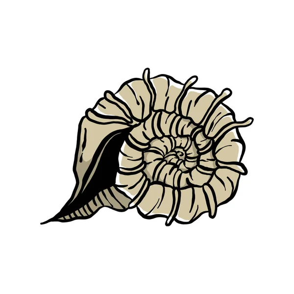 カラフルな貝殻のイラストです 創造的なデザインのためのベクトルグラフィックのアニメーション海洋動物 白い背景に隔離された水生物体のアニメーション — ストックベクタ