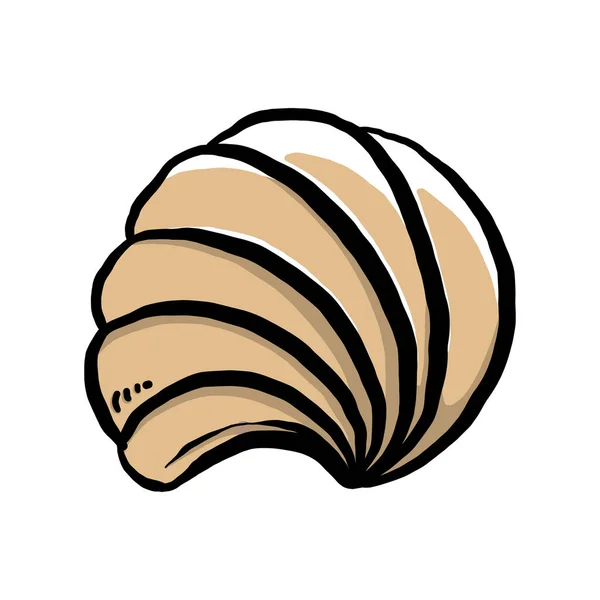 Colorful Seashell Illustration Animated Nautical Animal Vector Graphic Creative Design — Stok Vektör