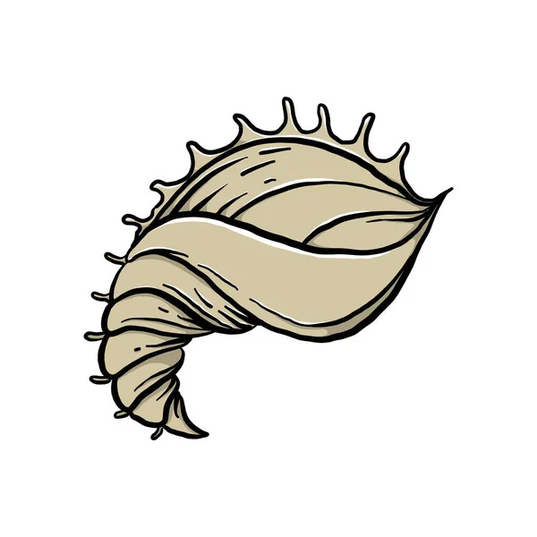 カラフルな貝殻のイラストです 創造的なデザインのためのベクトルグラフィックのアニメーション海洋動物 白い背景に隔離された水生物体のアニメーション — ストックベクタ