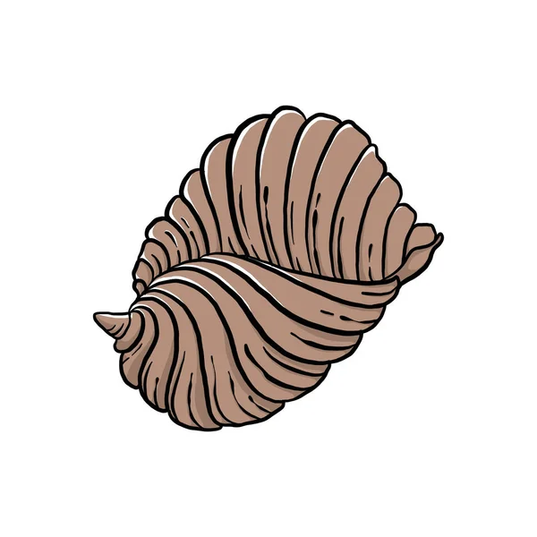 Colorful Seashell Illustration Animated Nautical Animal Vector Graphic Creative Design — Vetor de Stock