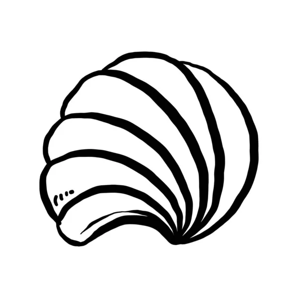 Uncolored Seashell Illustration Collection Animated Nautical Animal Vector Graphic Creative — ストックベクタ