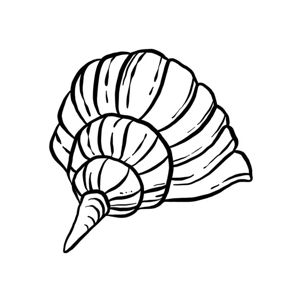 Uncolored Seashell Illustration Collection Animated Nautical Animal Vector Graphic Creative — Διανυσματικό Αρχείο