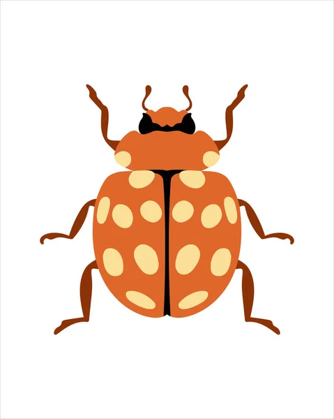 Krém Beruška Ploché Vektorové Znázornění Chyb Hmyz Zahradní Koncept Animované — Stockový vektor