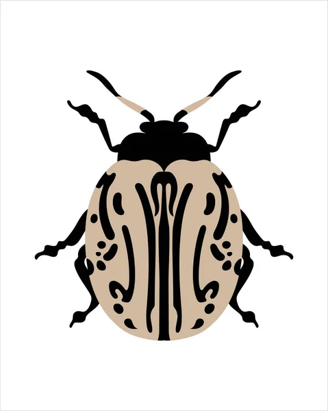 Calligrapha Multipunctata Flat Vector Illustration Bugs Insects Garden Concept Animated — Stok Vektör