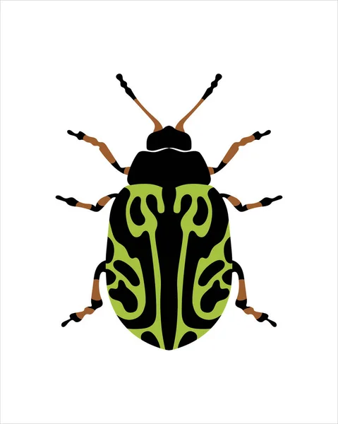 Globemallow Leaf Beetle Flat Vector Illustration Bugs Insects Garden Concept — Stock Vector
