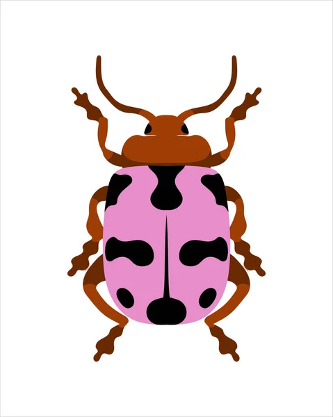 Feuille Rose Bettle Illustration Vectorielle Plate Bugs Insectes Concept Jardin — Image vectorielle