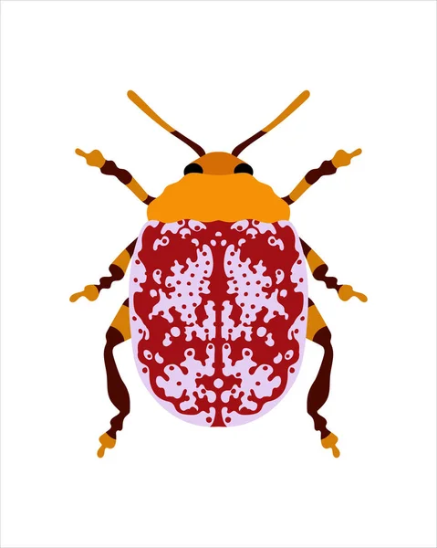 Blepharida Rhois Illustration Vectorielle Plate Bugs Insectes Concept Jardin Animé — Image vectorielle