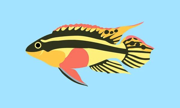 Πέλβικρομις Πάλτσερ Συλλογή Σύνολο Κοραλλιογενών Ψαριών Εικονογράφηση Σχέδιο Του Χεριού — Διανυσματικό Αρχείο
