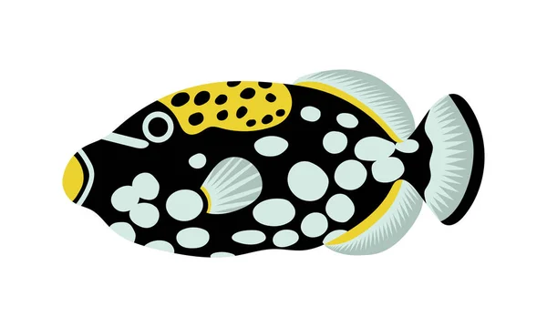 Klaun Wyzwalacz Zbiór Ilustracji Ryb Koralowych Ręczny Rysunek Podmorskiego Życia — Wektor stockowy