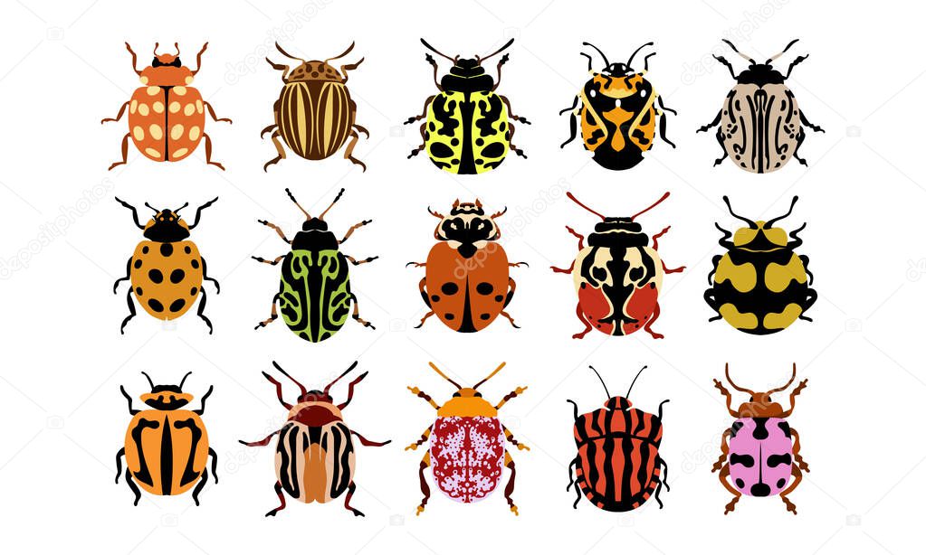 collection set of flat vector illustration of bugs. insects and garden concept animated in colorful theme. cartoon illustration of nature isolated on white background.