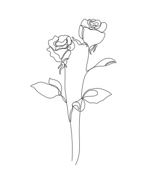 a one line art illustration of roses. a continuous hand drawn drawing in vector. an illustration for an art print, tattoo, beauty product or shop, etc.