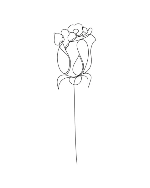 One Line Art Illustration Rose Continuous Hand Drawn Drawing Vector — Vector de stock