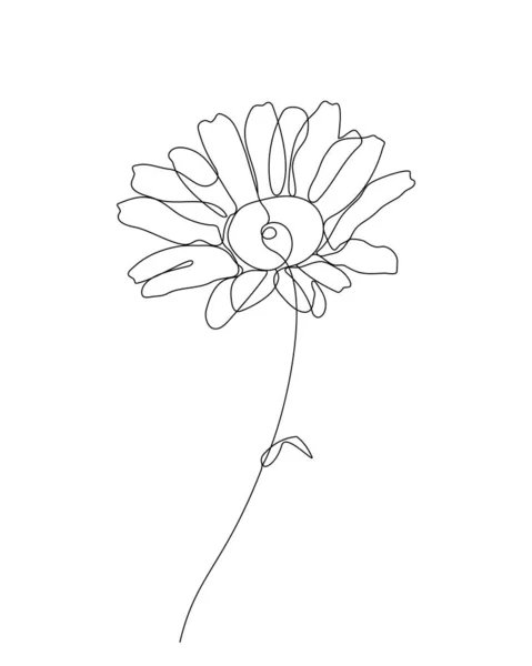 One Line Art Illustration Flower Continuous Hand Drawn Drawing Vector — Stockový vektor