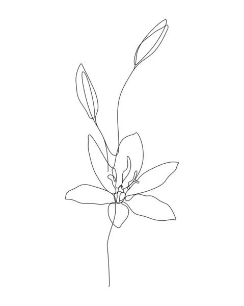 One Line Art Illustration Flower Continuous Hand Drawn Drawing Vector — 图库矢量图片