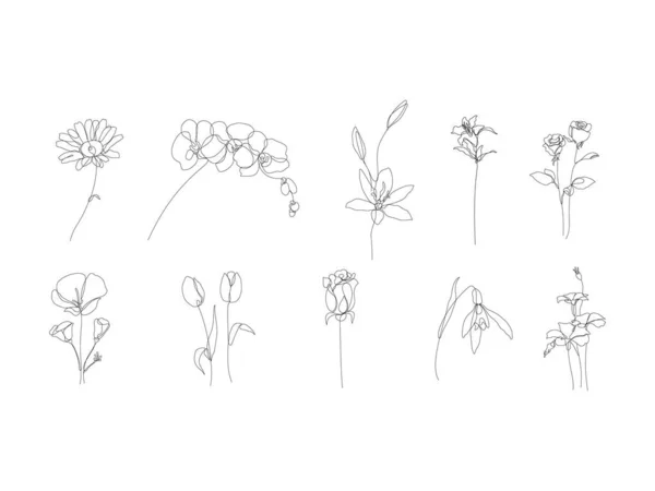 Set One Line Art Illustrations Flowers Continuous Hand Drawn Drawing — Stockvektor
