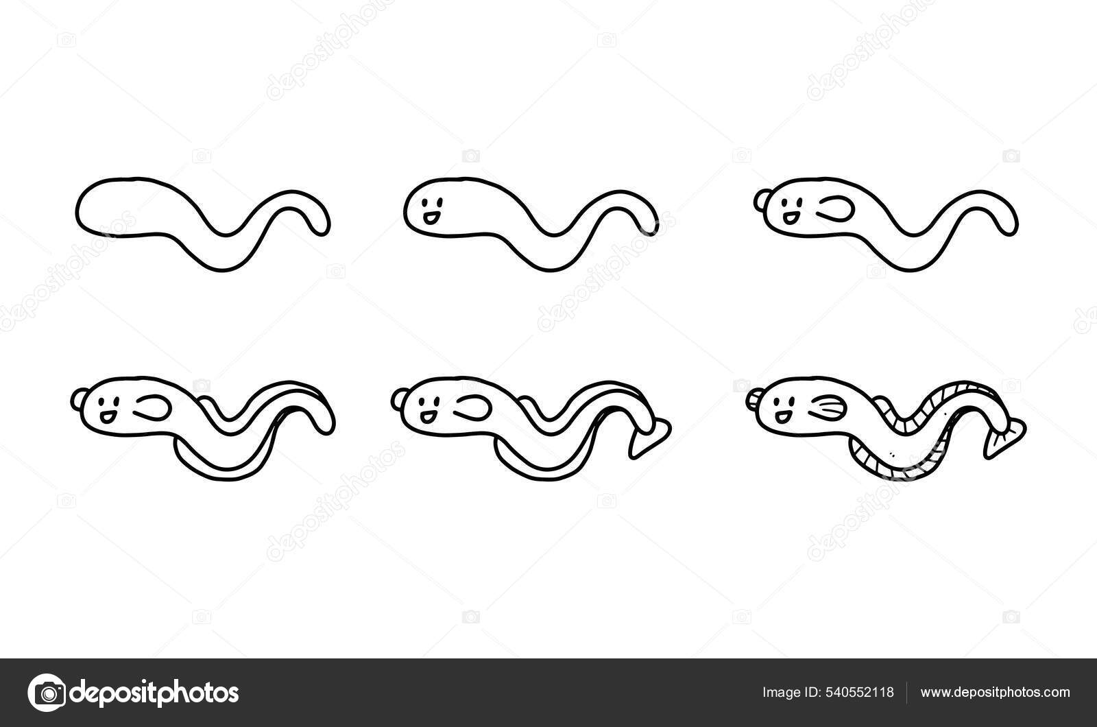 How Draw Cute Electric Eel Step Step Sea Animal Cartoon Stock Vector