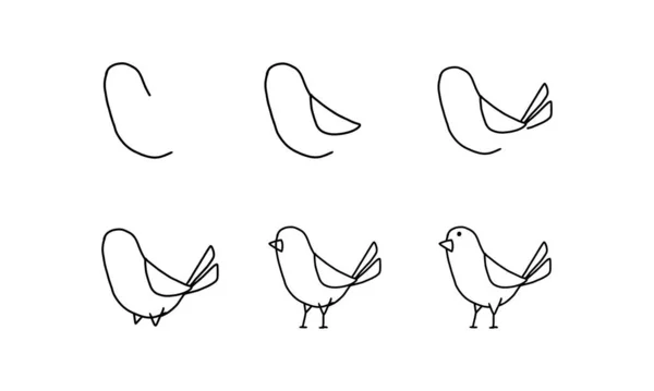How Draw Cute Bird Step Step Pets Animal Cartoon Coloring — 图库矢量图片