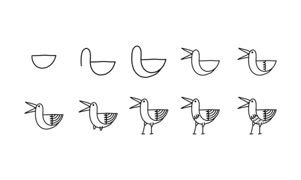 How Draw Cute Bird Step Step Pets Animal Cartoon Coloring — Stock Vector