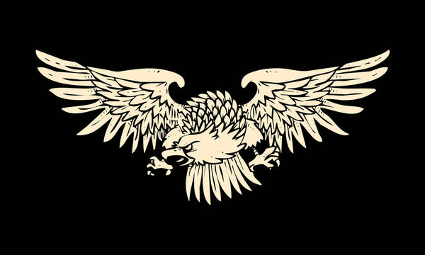 the flying eagle illustration on black background. eagle illustrated as a powerful and patriotic symbol. it's the icon of strength and bravery.