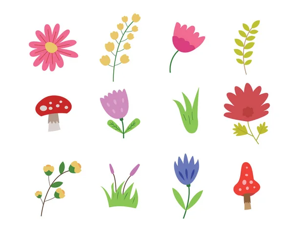 Set Various Flowers Illustrations Garden Ecosystem Floral Drawing Any Element — Stock vektor