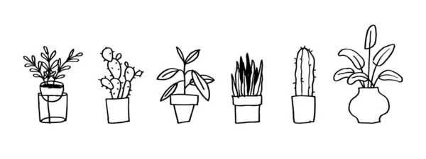 Set Uncolored Flowerpot Houseplants Flat Illustration Various Plants Pot Isolated — Stok Vektör