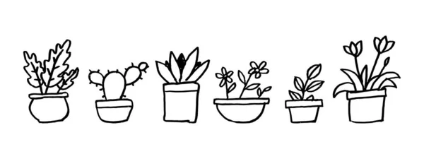 Set Uncolored Flowerpot Houseplants Flat Illustration Various Plants Pot Isolated — Archivo Imágenes Vectoriales