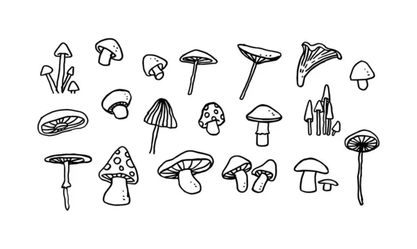 Set Hand Drawn Illustration Fungus Simple Minimal Vector Design Element — стоковый вектор