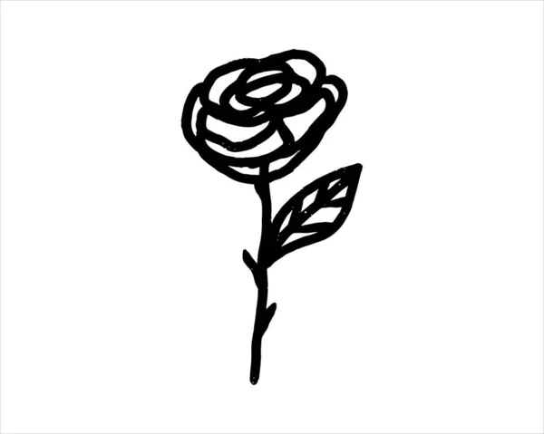 Rose Illustration Simple Doodle Line Drawing Vector Drawing Beautiful Rose — Stockvector