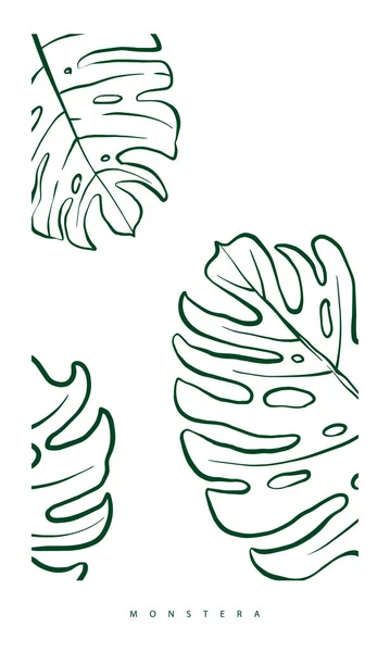 Monstera Leaf Green Minimal Outline Tropical Foliage Illustration Hand Drawn — Stockvektor
