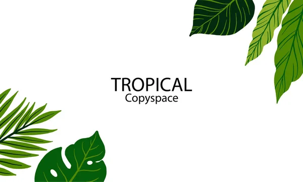 緑の自然コピースペースの葉が飾られている 熱帯をテーマにした概念における抽象的な要素構成 コピースペース付きの自然背景イラスト — ストックベクタ