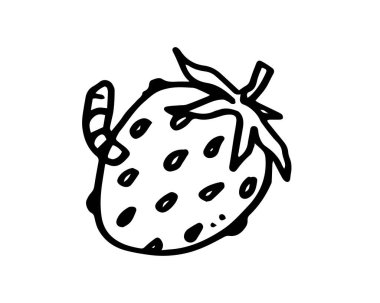 a vector illustration of strawberries that have been eaten by caterpillars. the caterpillar appears out of the inside. 