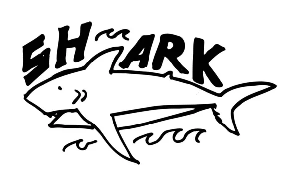 Shark Illustration Written Text Simple Hand Drawn Wild Animal Print — Stock Vector
