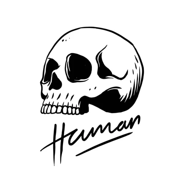 Hand Drawn Illustration White Head Skull Scary Dangerous Warn Vector —  Vetores de Stock