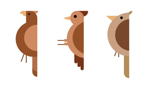 Conjunto Ilustraciones Dibujos Animados Aves Estilo Diseño Plano Una Colección — Vector de stock