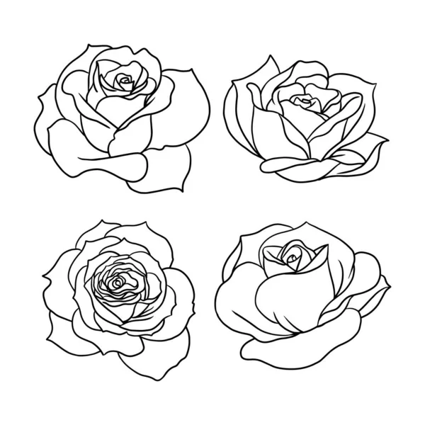 Various Rose Petal Illustration Isolated White Uncolored Roses Design Composition — Stock Vector