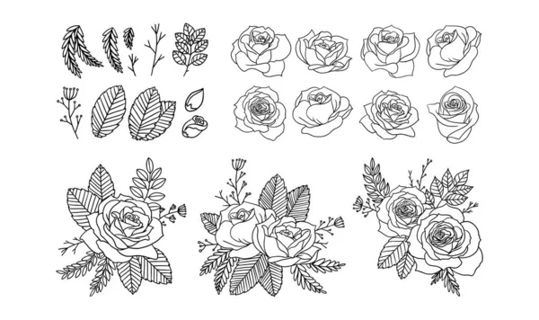 Komplet Elementów Kwiatowych Projektowania Róże Linearnie Rysowane Wektor Bukiet Kwiatowy — Wektor stockowy