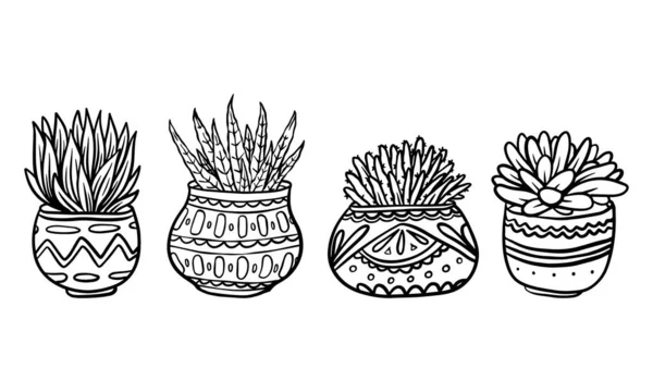 Conjunto Planta Vaso Desenhado Mão Ilustração Vetorial Planta Elementos Gráficos —  Vetores de Stock