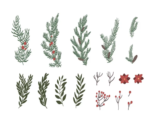 Fenyőfák Leveleinek Virágainak Gyűjteményét Kézzel Elszigetelt Háttérrel Rajzolják Karácsonyi Dekoráció — Stock Vector