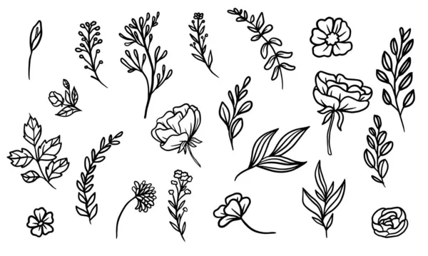 Set Van Met Hand Getekende Blad Vector Illustratie Bloem Lineart — Stockvector