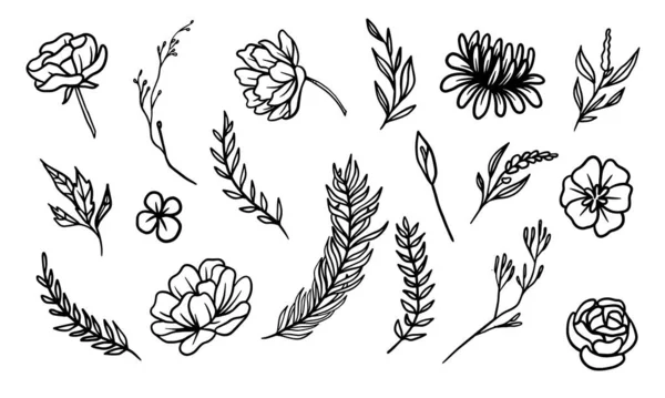 Set Van Met Hand Getekende Blad Vector Illustratie Bloem Lineart — Stockvector