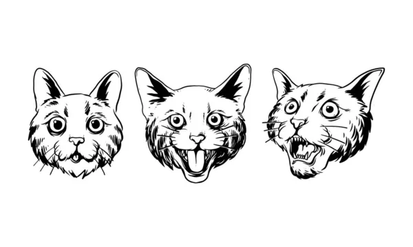 Conjunto Gatos Engraçados Desenhos Animados Ilustração Desenhada Mão Cabeça Gato —  Vetores de Stock